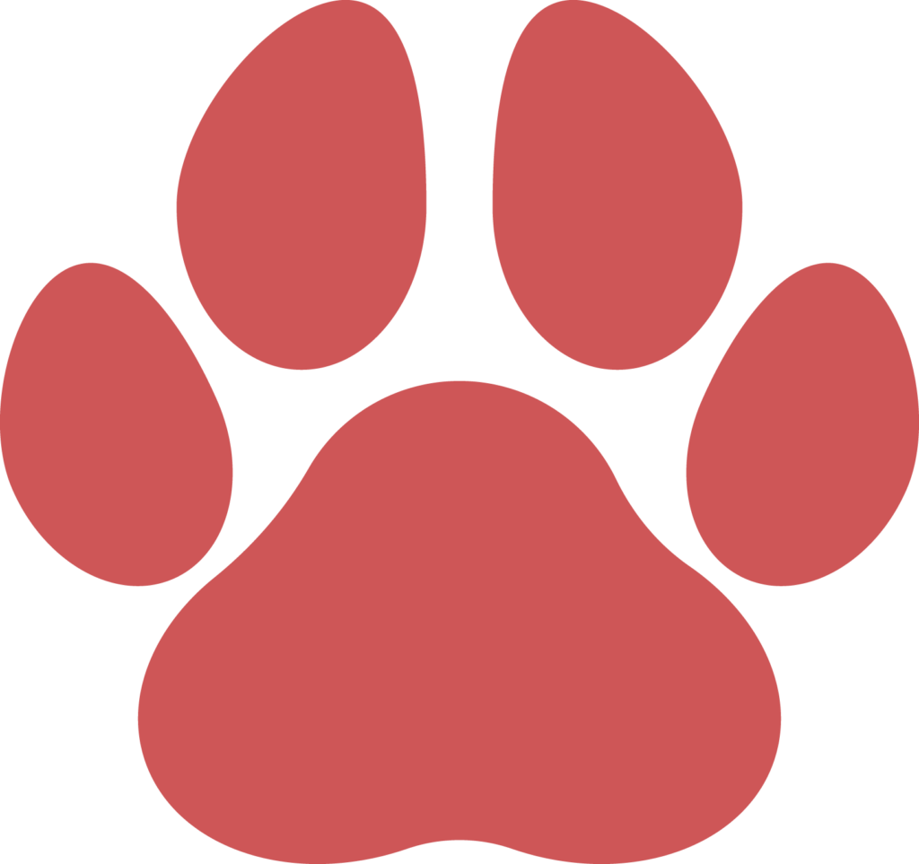 Veterinarian in Santee, SC Santee Animal Hospital